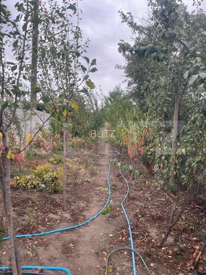 Casă 4 camere, 790 mp teren, zona Bariera Vîlcii - 10