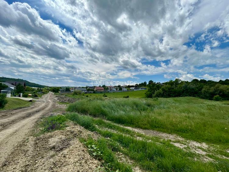 Teren 1.3 ha Aroneanu sat Dorobanț, Iași, pret 38 EUR/mp, Parțial Intravilan - 5