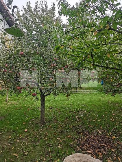 Casă/Vila + Teren 13 Ari de Vânzare |Lisaura/Suceava I 280.000 Euro