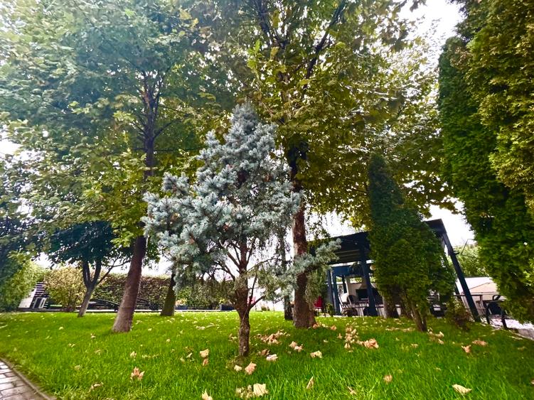 Vilă modernă cu piscină, eficiență energetică ridicată, teren 631 mp – Berceni,