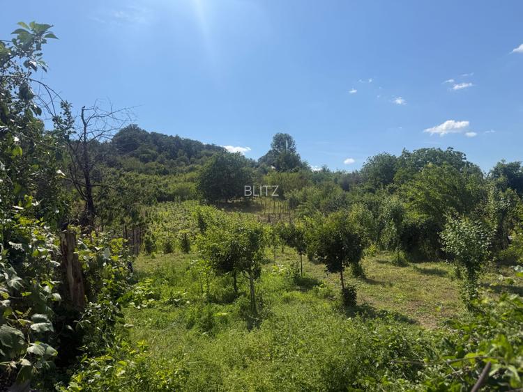Casa  deosebita 280 mp utili, 2000 mp teren, zona Podari (schimb cu apartament ) - 2