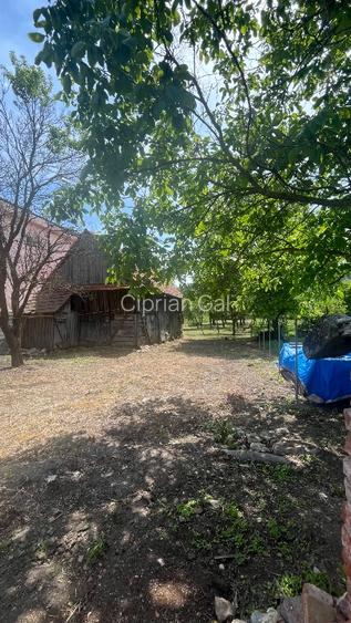 TEREN INTRAVILAN 2034 MP ÎN CENTRUL Baciului! 265000€ negociabil! - 3