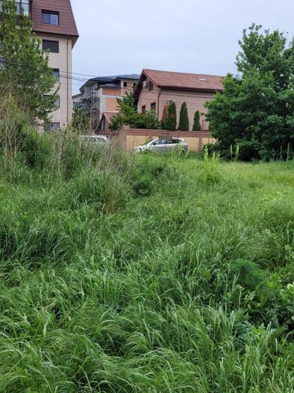 Teren Intravilan 500 Mp | Dobroesti - Ciresului | Stradal 21 M | Toate Utilitati