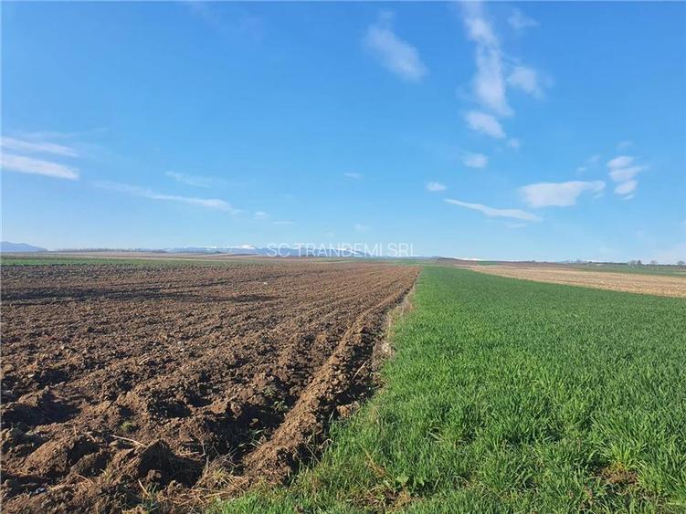 Teren extravilan 4.500- max.18.300mp in comuna Rosia (17 km de Sibiu) - 8