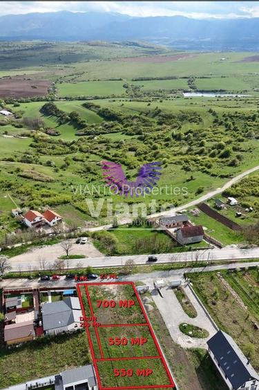 Comision 0% teren intravilan premium 650 mp la drum judetean | Daia Noua - 3