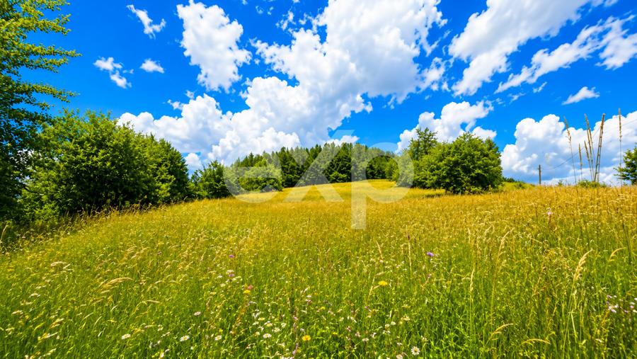 PANORAMA POIANA MĂRULUI | Teren cu potențial de dezvoltare zoan After Hills