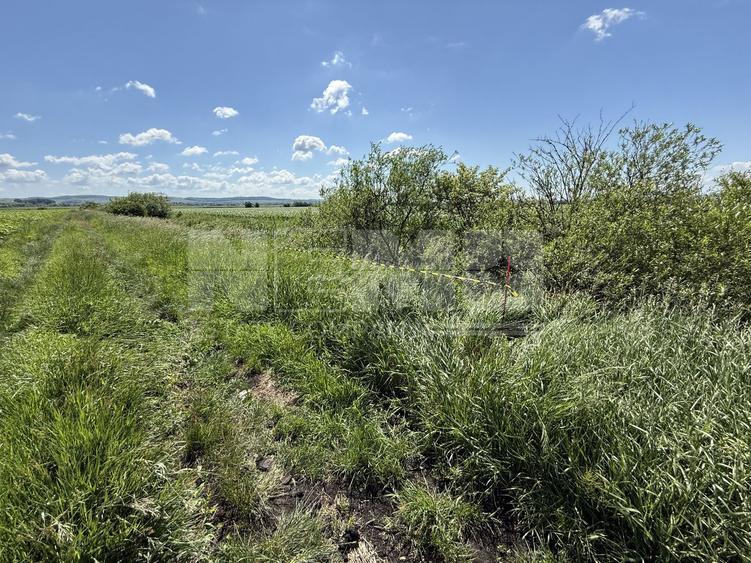 Teren extravilan de vânzare | Rădăuți | 4.000 mp