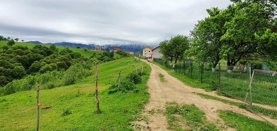 Teren pentru casa de vacanta , Pestera , Brasov