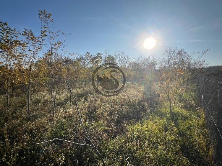 Teren intravilan de vanzare | 12.650 mp | Ghirdoveni | Comision 0%