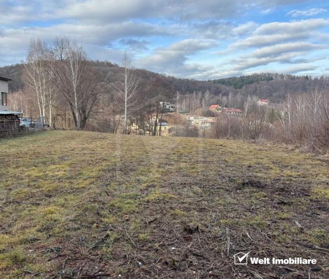 Teren spectaculos, intravilan, Feleacu, zona linistita, padure + parau.
