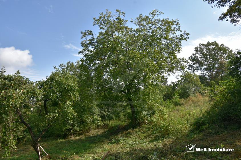 Casa demolabila in sat Gheorghieni (com Feleacu) teren 1547mp intravilan