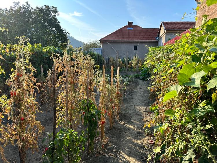 Vând casă cu grădină în Cugir - 2