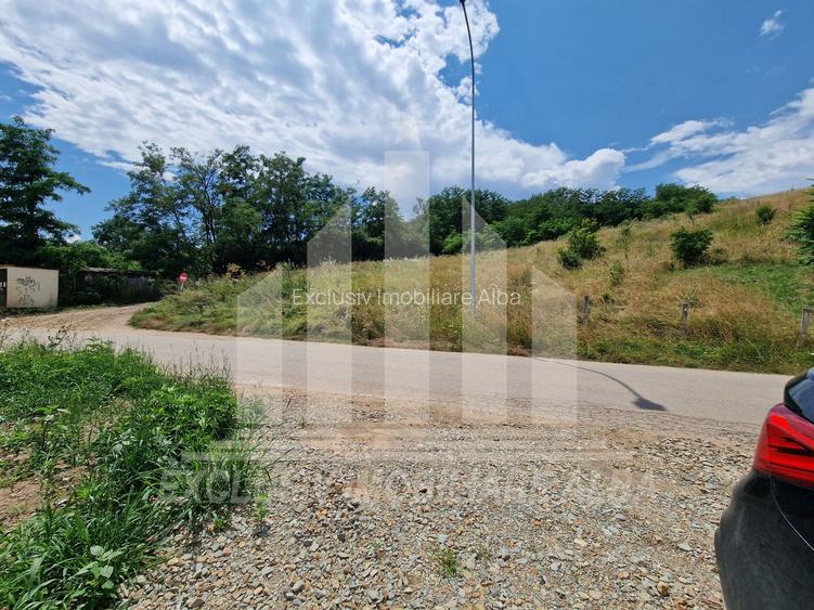Teren intravilan | De vanzare | 2350 mp | 24 ml deschidere | Cetate - 5