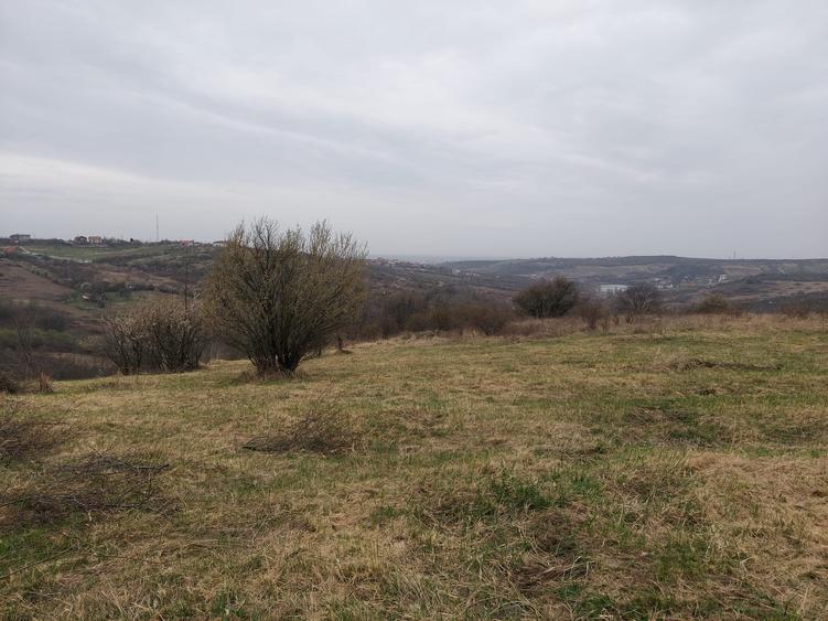 Teren in Oradea-zona Dealuri (din Gh.Doja)