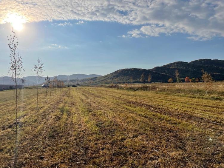 Teren intravilan 2992 mp, deschidere 30 m, utilități Măgureni, Prahova
