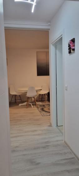 2 camere Theodor Pallady