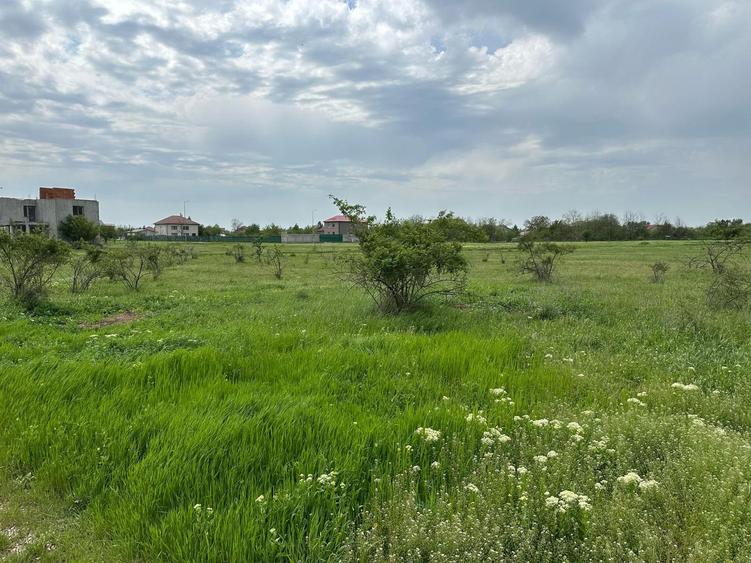 Domnesti - Str. Sfantul Dumitru, teren intravilan 1500 mp