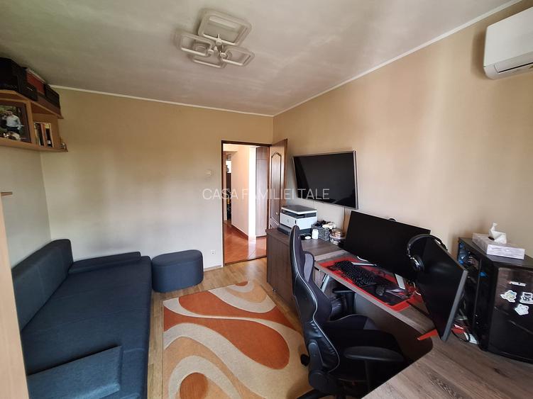 !! 3 Camere model mare.. zona Timocului-A. Saguna vedere spre Bega - 11