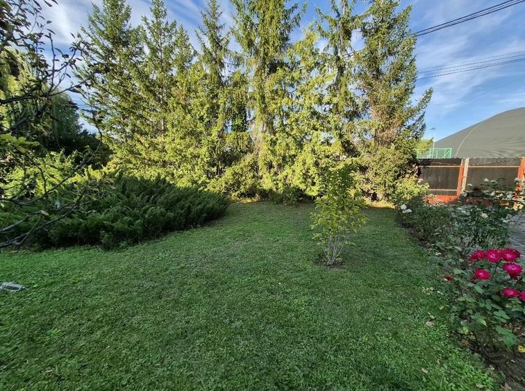 Cabana de lemn cu fundatie 86 mp+ livada pomi fructiferi+teren 847 mp
