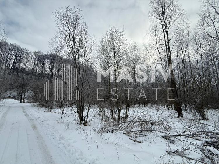 Teren intravilan 6.093 mp – Piatra Arsă, Bușteni, dezvoltare turistică premium!