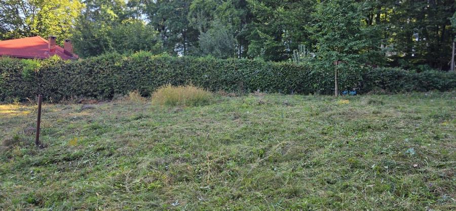 Teren cu PUZ aprobat în Făget, 2072 mp