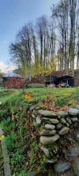 Cabana 4 camere zona Valea Avrigului