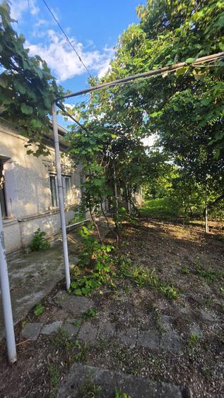 Casă cu potențial, 4 camere, lângă pădure-Jud Giurgiu-Mihai Bravu.