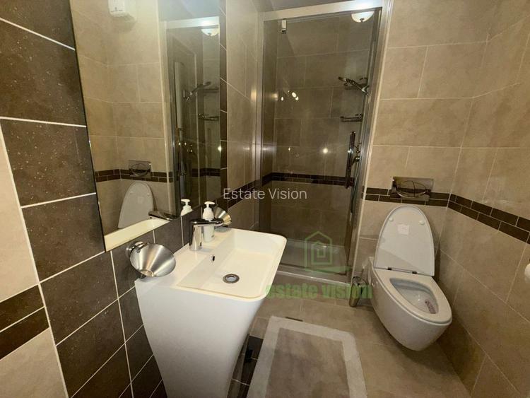 Vila individuala in Domenii- eleganta, spatiu si calitate la 15 min de Arcul de  - 17