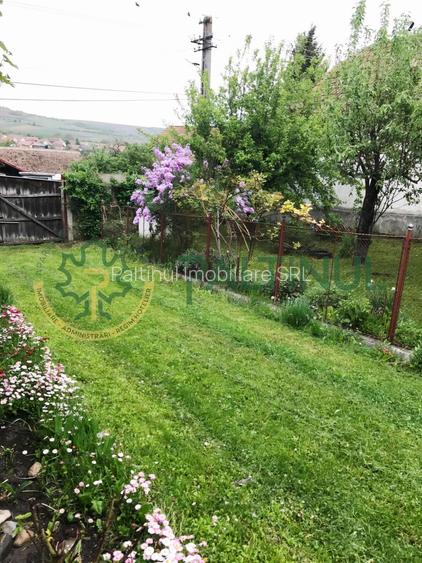 Casă și Teren Generos în Sibiu,  Armeni, Comuna Loamneș - 12