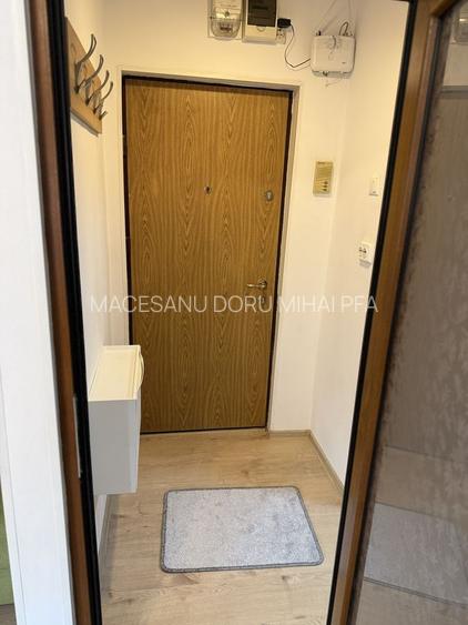 Garsoniera Complet Renovata Teiul Doamnei Facultate de Constructii Tei - 13