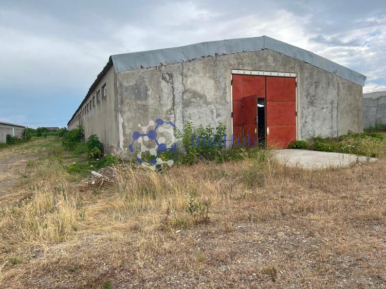 Hală industrială de vânzare – Horlești- Rediu