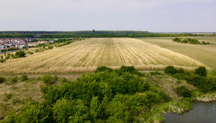Oportunitate Investitie Teren 5.4HA Deschidere la Lac, Padure, Paradisul Verde