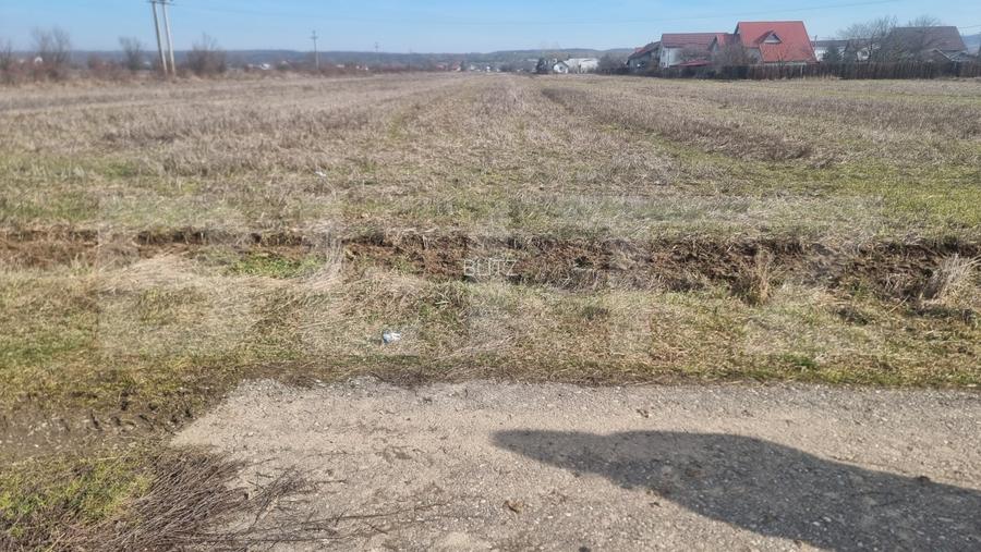TEREN INTRAVILAN CONSTRUCTII 2240 MP lIPANESTI - 2