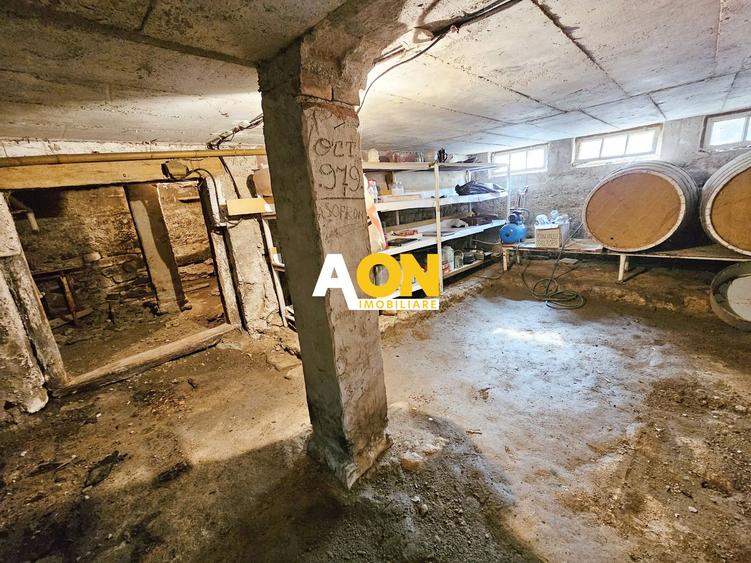 Casa cu 4 camere, 2024 mp teren, la asfalt, cu utilitati, Vintu de Jos