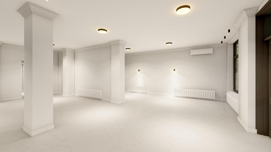 Spatiu comercial la strada