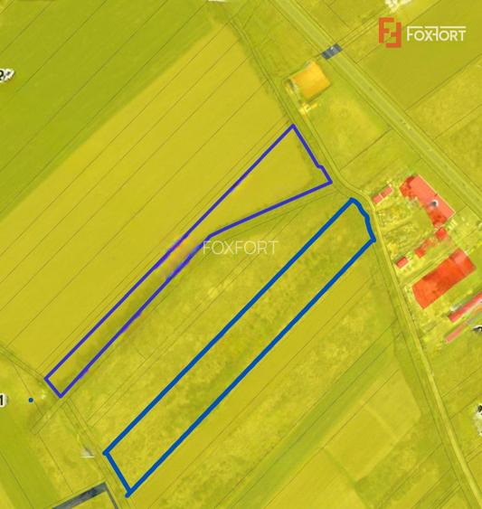COMISION 0% Teren extravilan ideal pentru investitie, de vanzare in Lugoj - 2