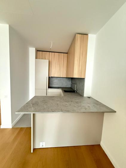 Inchiriere apartament 2 camere cu gradina // ONE Verdi Park