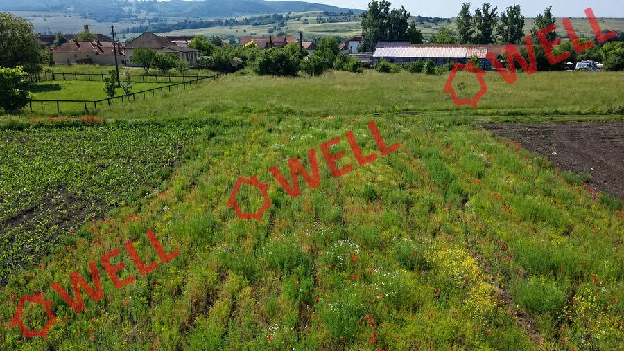 De vânzare teren intravilan în Baraolt, pe strada Baróti Szabó Dávid!