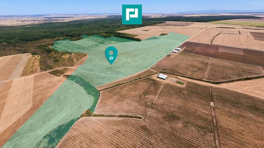 Teren intravilan agricol 558.500 mp Chevereșu Mare