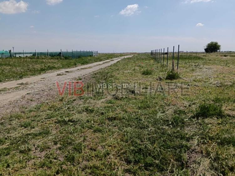 Terenuri de vânzare | Săcălaz| Parcele variate + oportunități investiționale - 4