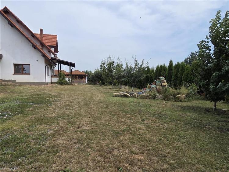 Proprietate Deosebita cu 4600 Mp Teren, 2 Case, Panouri Fotovoltaice si Sera