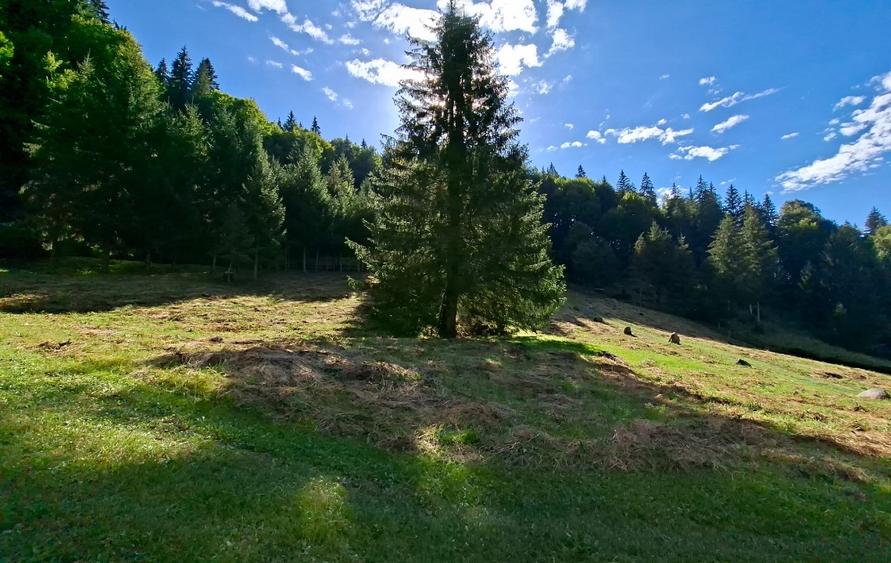 Teren intravilan la munte
