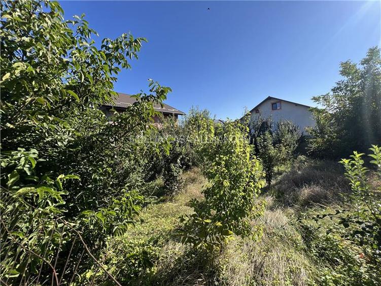 Casa la rosu, de vanzare in Lunca Cetatuii - 3