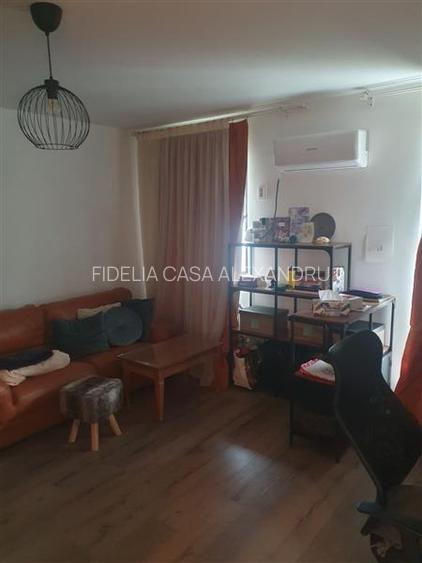 Vila  de vanzare  Copou, - 12