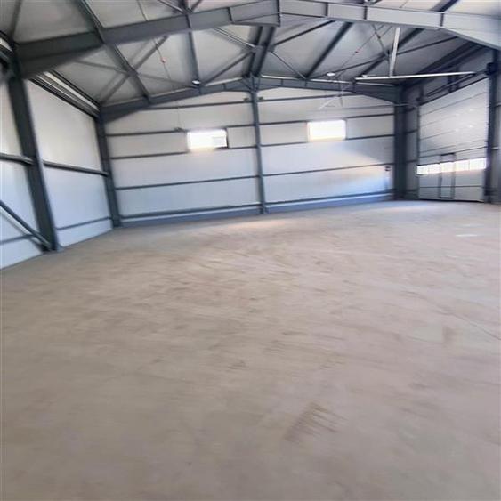Inchiriere depozit/hala/spatiu industrial Domnesti - Centura