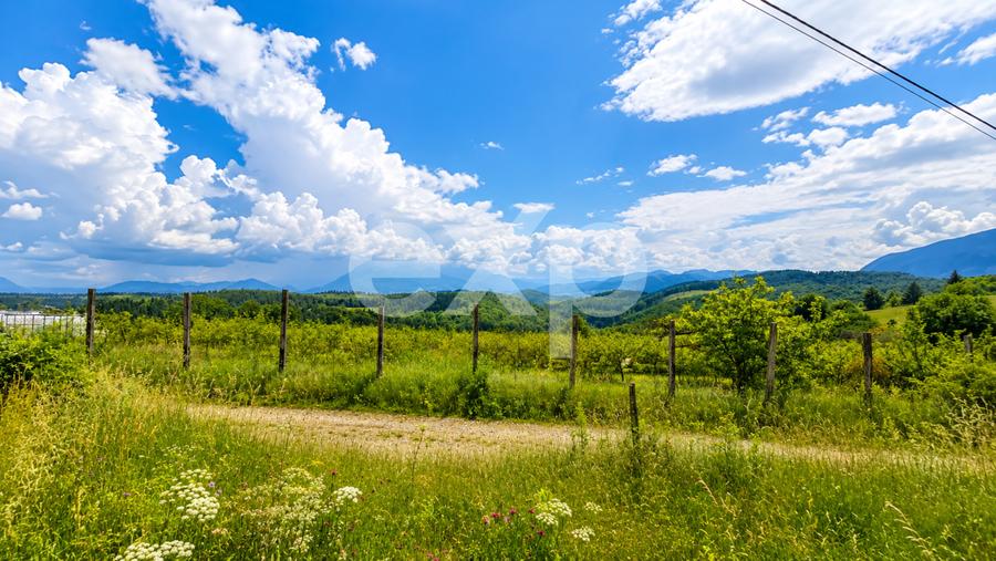 PANORAMA POIANA MĂRULUI | Teren cu potențial de dezvoltare zoan After Hills