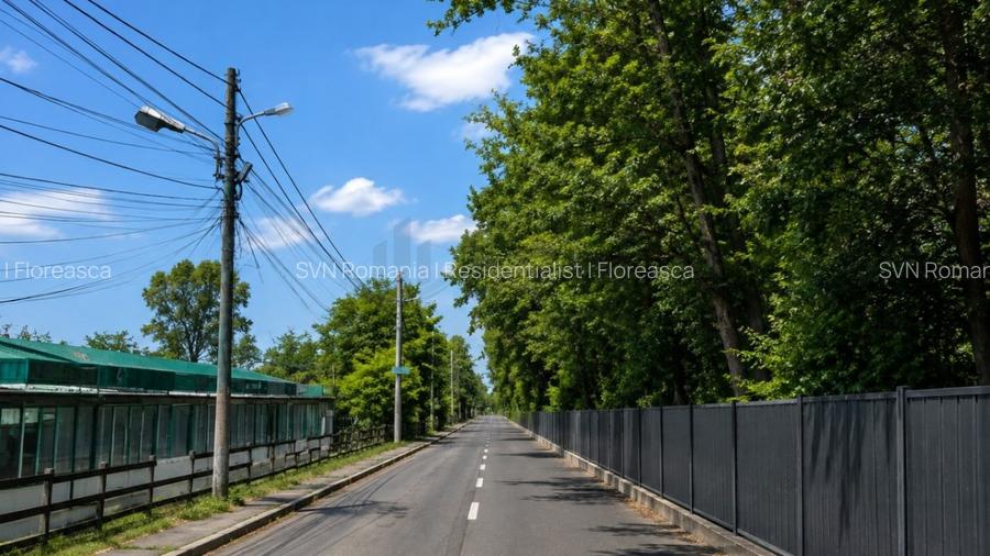 REL4001313 Teren Aleea Teisani padurea Baneasa - 3