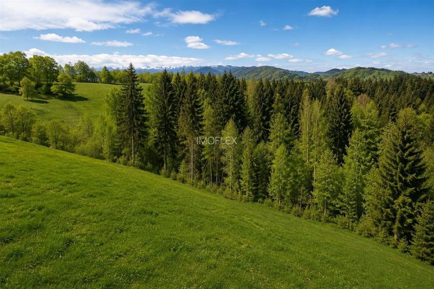 Bran Mountain Retreat – Doar 3 vile exclusiviste în inima Branului - 4