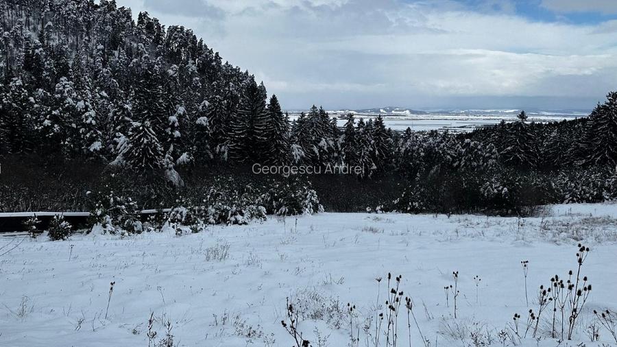 Vand Teren Intravilan 3000mp, PUZ aprobat, Poiana Angelescu, Sacele, Brasov - 6