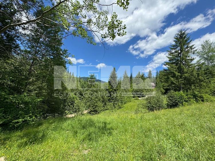 TEREN EXTRAVILAN DE VANZARE | CAMPULUNG MOLDOVENESC | 235.000€